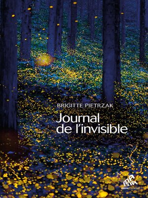 cover image of Journal de l'invisible